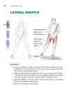 Alternative view 4 of Tennis Anatomy