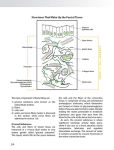 Alternative view 2 of Myofascial Training: Intelligent Movement for Mobility, Performance, and Recovery