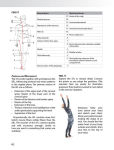 Alternative view 4 of Myofascial Training: Intelligent Movement for Mobility, Performance, and Recovery