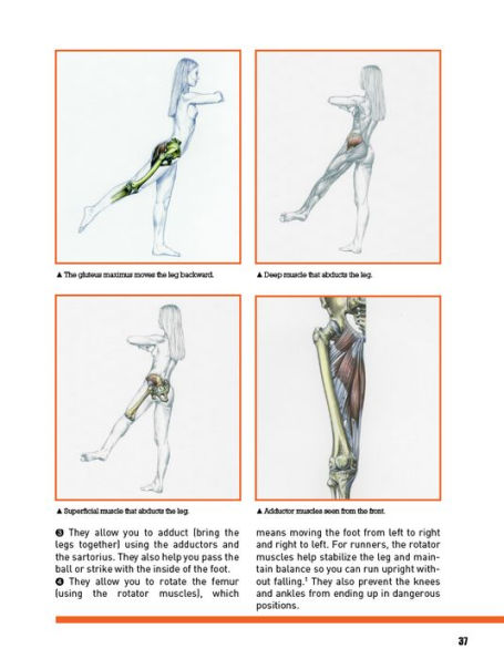 Strength Training Anatomy for Athletes