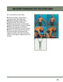 Alternative view 6 of Strength Training Anatomy for Athletes