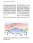 Alternative view 2 of Science and Development of Muscle Hypertrophy