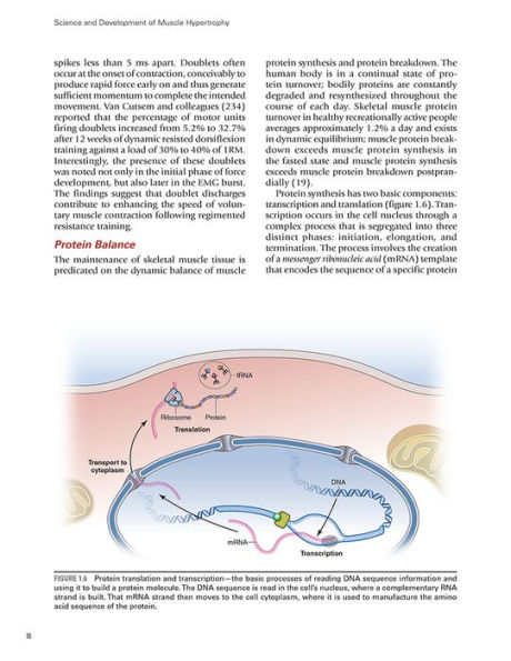 Science and Development of Muscle Hypertrophy