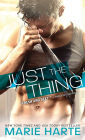Just the Thing (Donnigans Series #2)