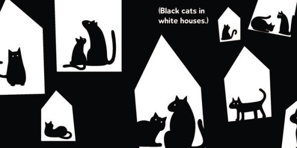 Black Cat & White Cat