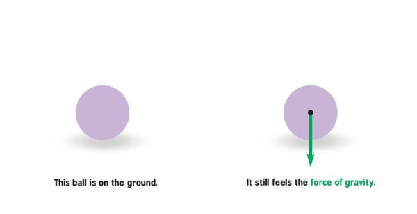 Newtonian Physics for Babies