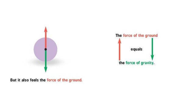 Newtonian Physics for Babies