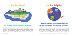 Alternative view 2 of ABCs of Oceanography