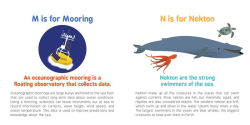 Alternative view 4 of ABCs of Oceanography