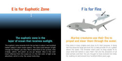 Alternative view 5 of ABCs of Oceanography
