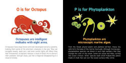 Alternative view 6 of ABCs of Oceanography