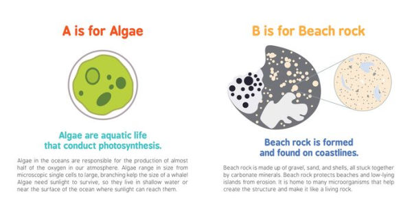 ABCs of Oceanography