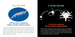 Alternative view 9 of ABCs of Oceanography
