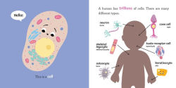 Alternative view 3 of Baby Biochemist: DNA