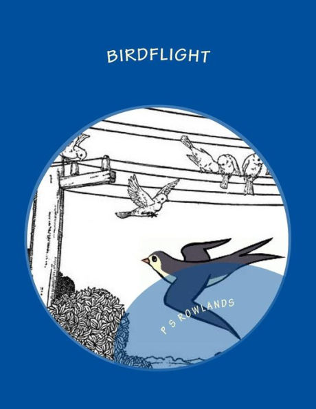 Birdflight: A Science Drama Playscript