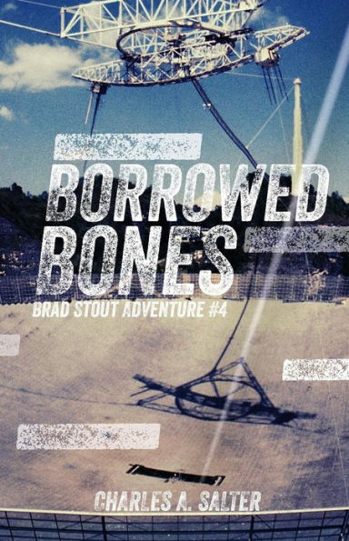Borrowed Bones: Brad Stout Adventure #4
