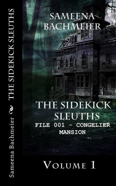 The Sidekick Sleuths