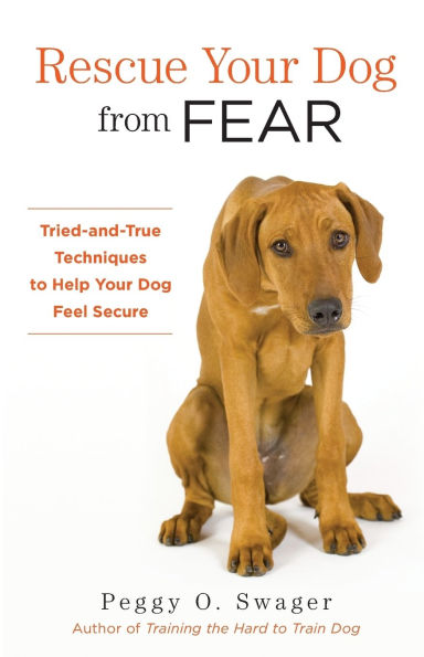 Rescue Your Dog from Fear: Tried-and-True Techniques to Help Feel Secure