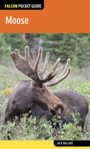 Title: Moose, Author: Jack Ballard