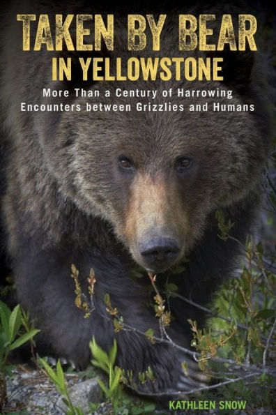 Taken by Bear in Yellowstone: More Than a Century of Harrowing Encounters between Grizzlies and Humans