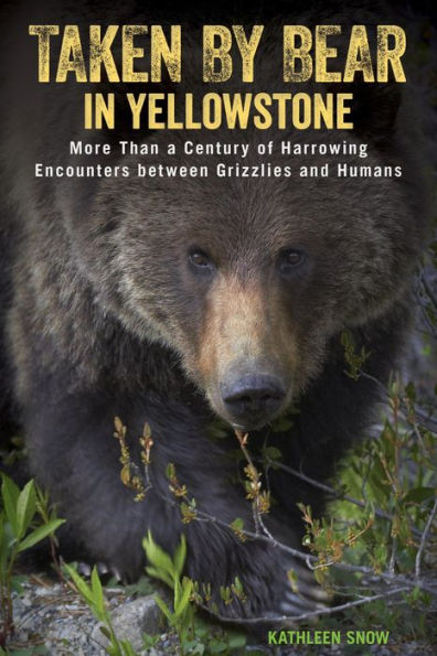 Taken by Bear in Yellowstone: A Century of Harrowing Encounters between Grizzlies and Humans