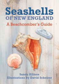 Seashells, Nature, Books | Barnes & Noble®