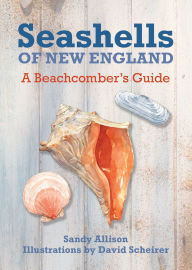 Title: Seashells of New England: A Beachcomber's Guide, Author: Sandy Allison