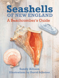 Title: Seashells of New England: A Beachcomber's Guide, Author: Sandy Allison