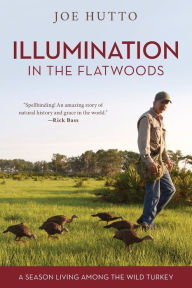 Title: Illumination in the Flatwoods: A Season Living Among the Wild Turkey, Author: Joe Hutto