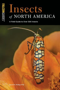 Title: Insects of North America: A Field Guide to Over 300 Insects, Author: David M. Phillips