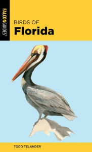 Ebooks free kindle download Birds of Florida 9781493051892 (English Edition) by Todd Telander MOBI