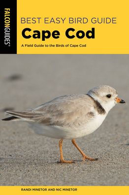 Best Easy Bird Guide Cape Cod