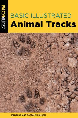 Basic Illustrated Animal Tracks