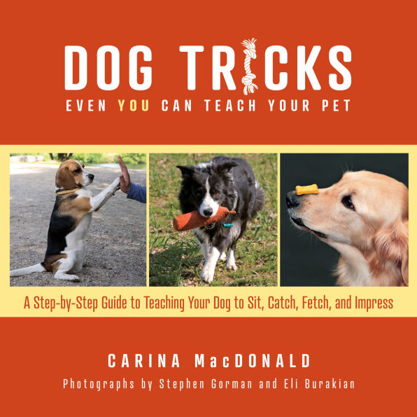 Dog Tricks Even You Can Teach Your Pet: A Step-by-Step Guide to Teaching Pet Sit, Catch, Fetch, and Impress