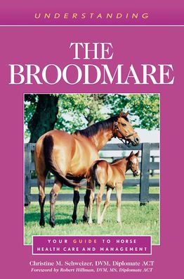 Understanding the Broodmare: Your Guide to Horse Health Care and Management