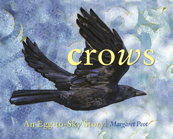 Crows: An Egg-to-Sky Story
