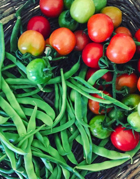 Creating a Modern Homestead: Traditional Skills for Real, Everyday Life