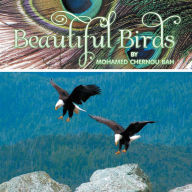 Title: Beautiful Birds, Author: Mohamed Chernou Bah