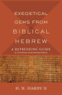 Exegetical Gems from Biblical Hebrew: A Refreshing Guide to Grammar and Interpretation