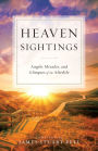 Heaven Sightings: Angels, Miracles, and Glimpses of the Afterlife
