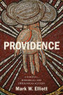 Providence: A Biblical, Historical, and Theological Account