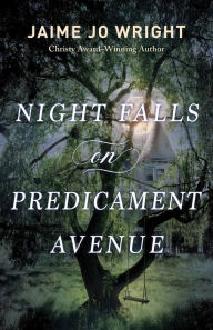 Public domain google books downloads Night Falls on Predicament Avenue