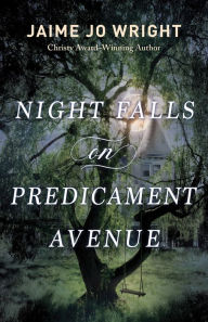 Kindle ebook collection download Night Falls on Predicament Avenue PDF DJVU (English Edition) 9781493445349