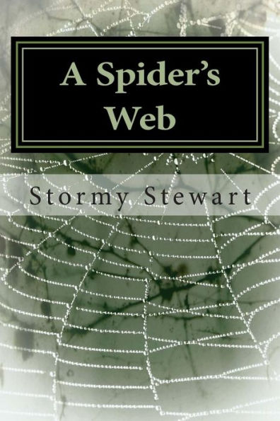 A Spider's Web: Revised