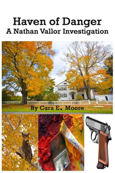 Haven of Danger: A Nathan Vallor Investigation