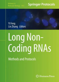 Title: Long Non-Coding RNAs: Methods and Protocols, Author: Yi Feng