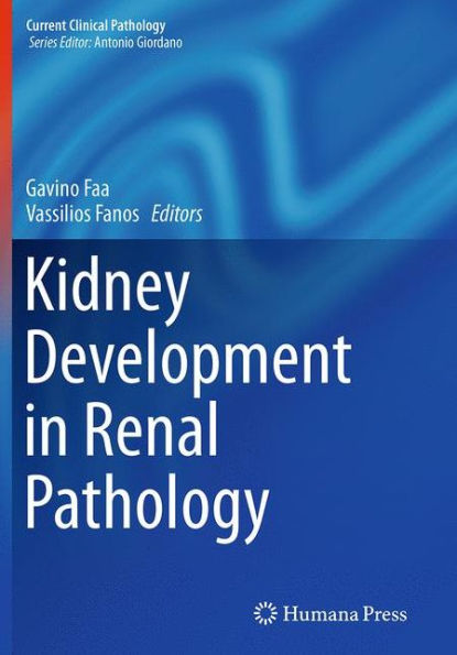 Kidney Development in Renal Pathology