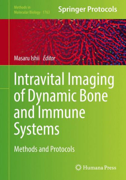 Intravital Imaging of Dynamic Bone and Immune Systems: Methods and Protocols