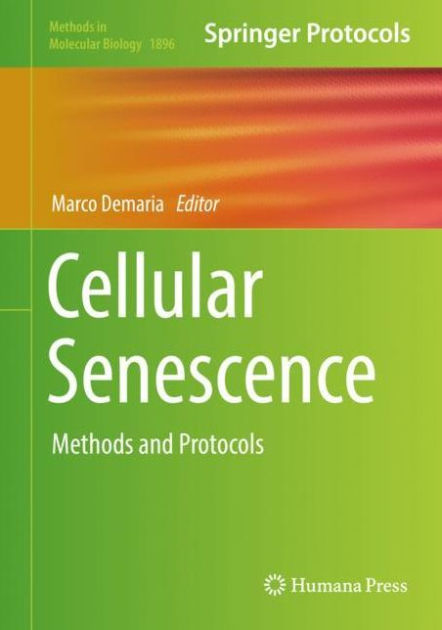 Cellular Senescence: Methods and Protocols by Marco Demaria, Hardcover ...