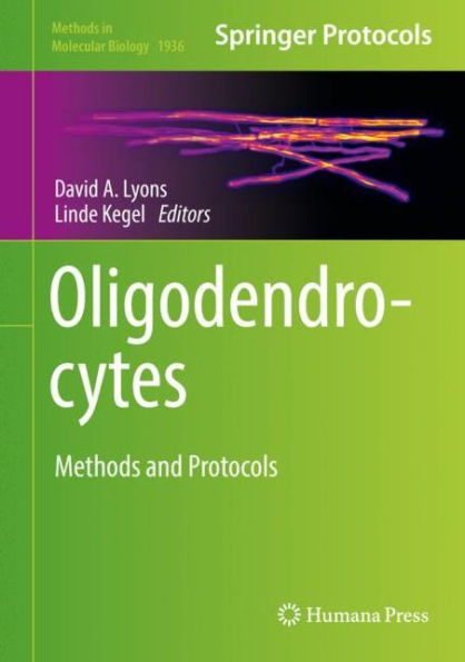 Oligodendrocytes: Methods and Protocols